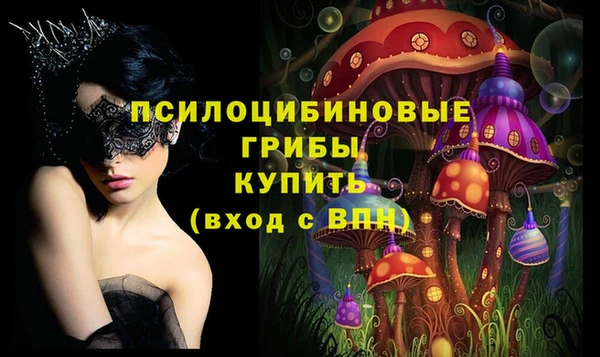 крисы Карталы