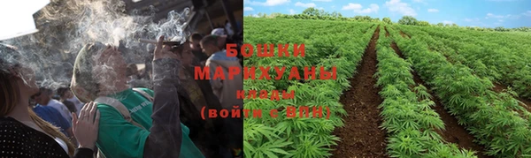 PSILOCYBIN Карпинск