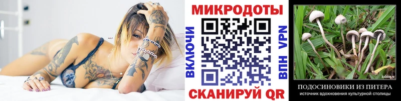 Псилоцибиновые грибы ЛСД  Купить закладки  Петрозаводск 